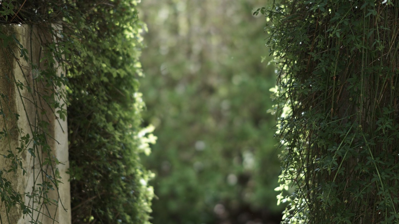 Photo of Outdoor in Pont-de-Barret