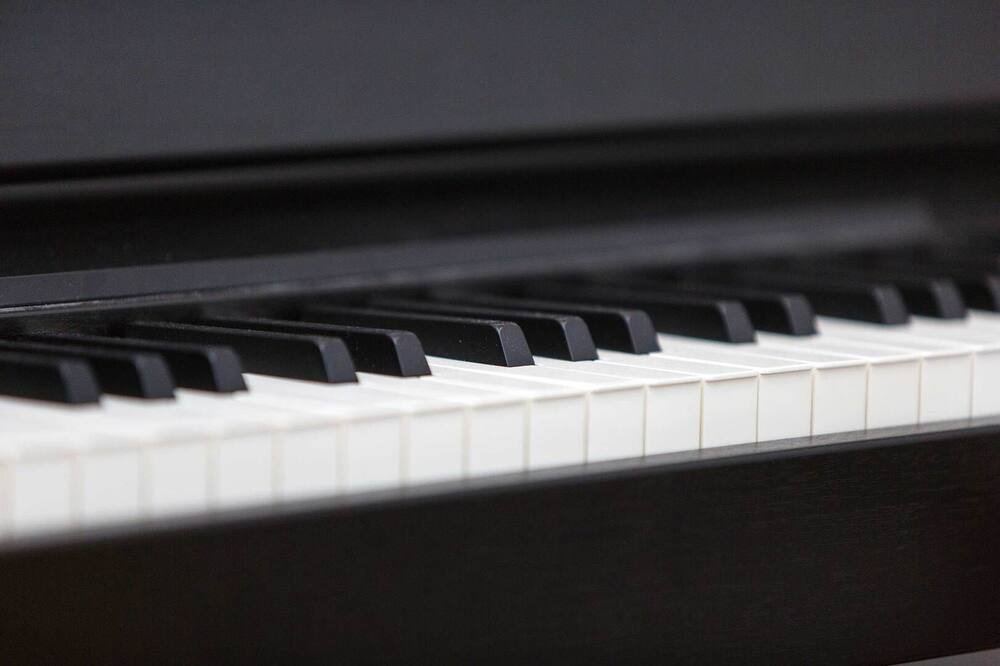 Photo of Others in Dartmouth Park