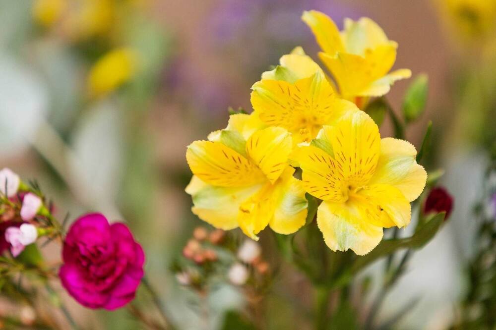 Photo of Others in Dartmouth Park