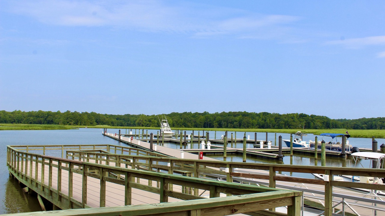 Photo of Others in Surry