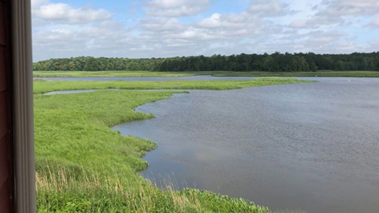 Photo of Others in Surry