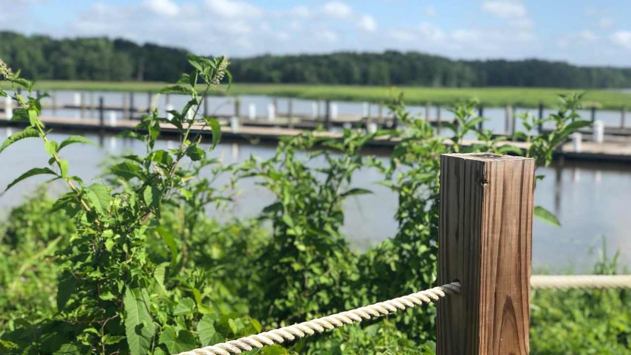 Photo of Outdoor in Surry