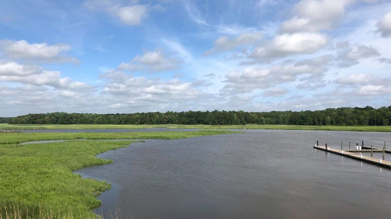 Photo of Outdoor in Surry