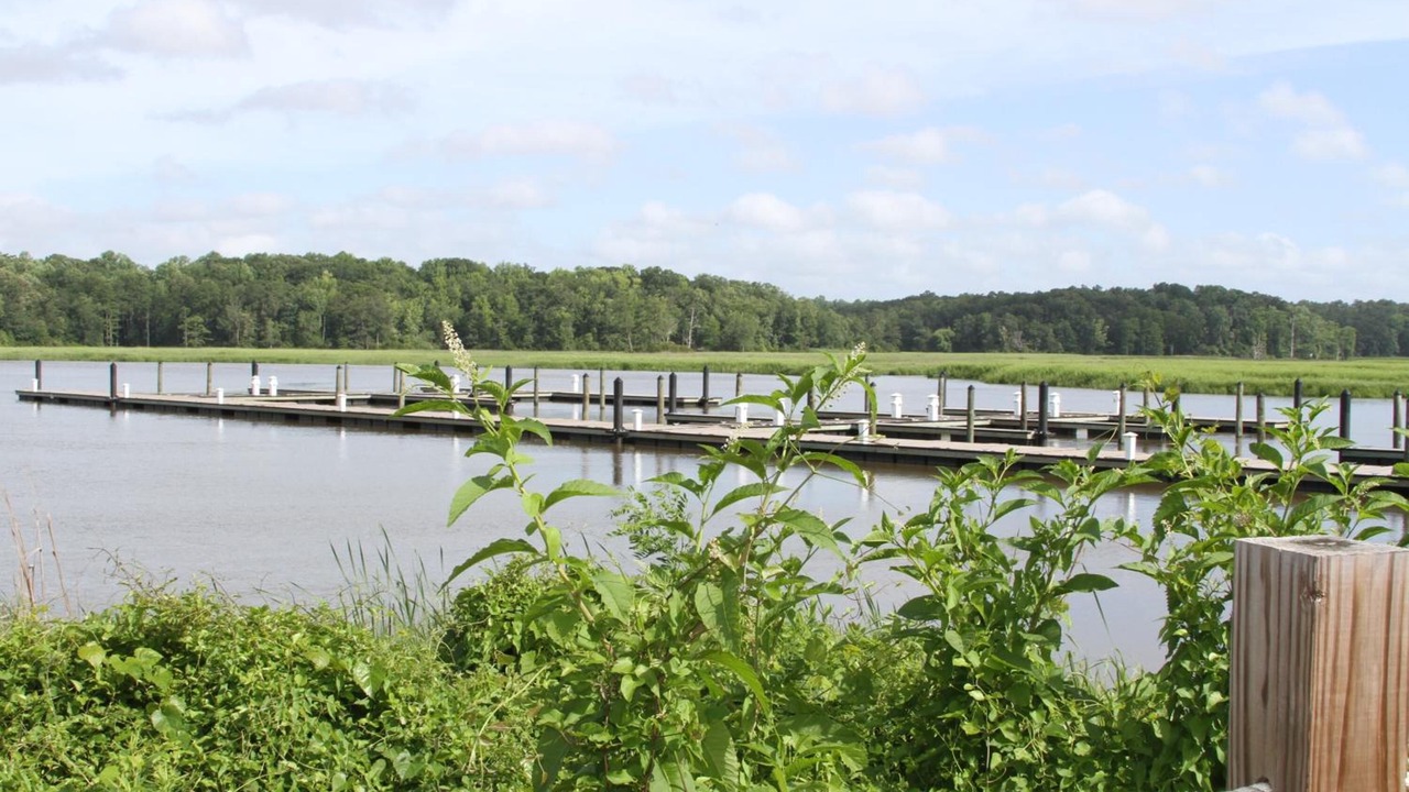 Photo of Outdoor in Surry