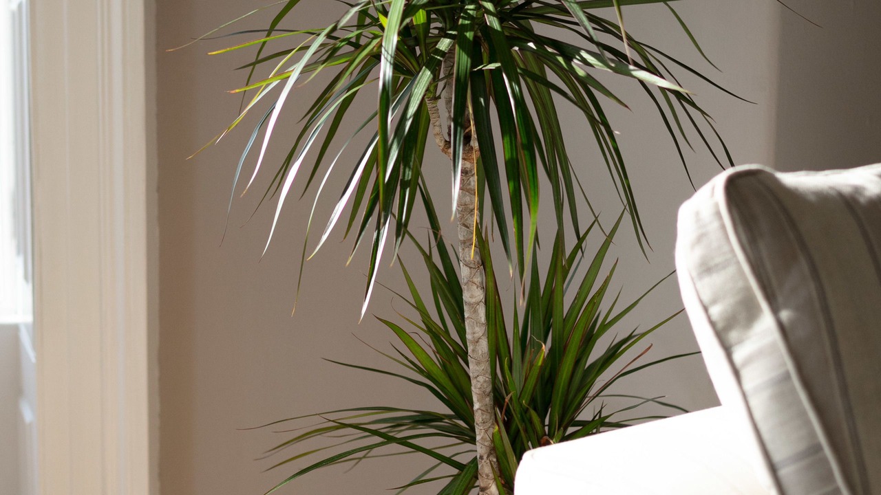 Photo of Bedroom in Ayr