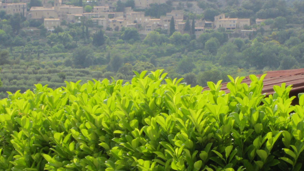 Photo of Outdoor in Crestet