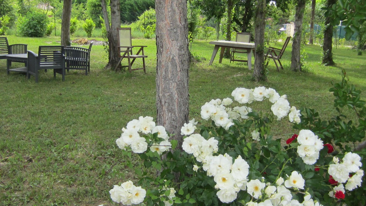 Photo of Outdoor in Crestet