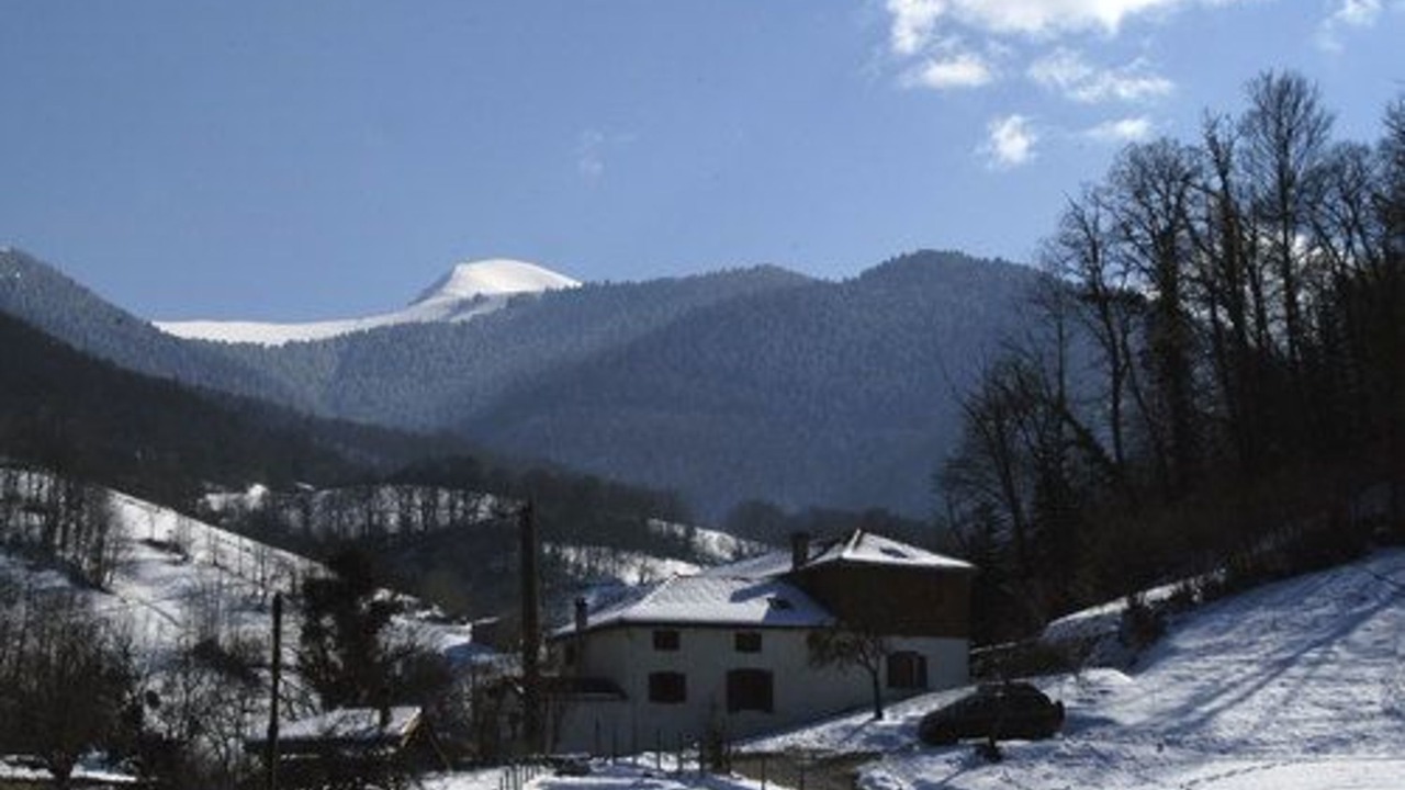 Photo of Outdoor in Nistos