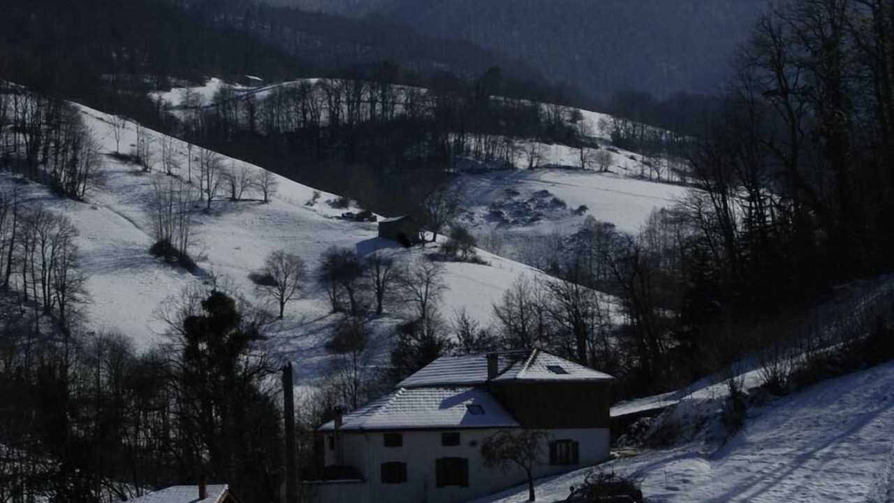 Photo of Others in Nistos