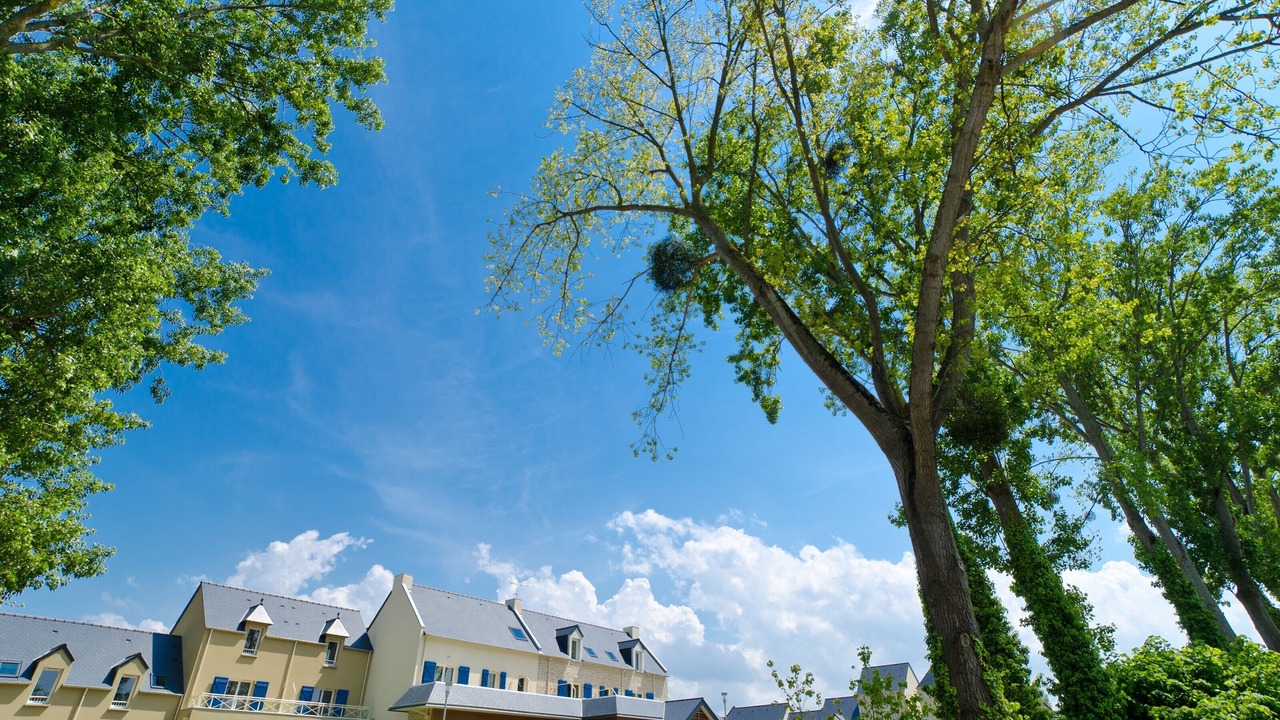 Photo of Outdoor in La Guymauviere-La Hulotais-La Bourelais