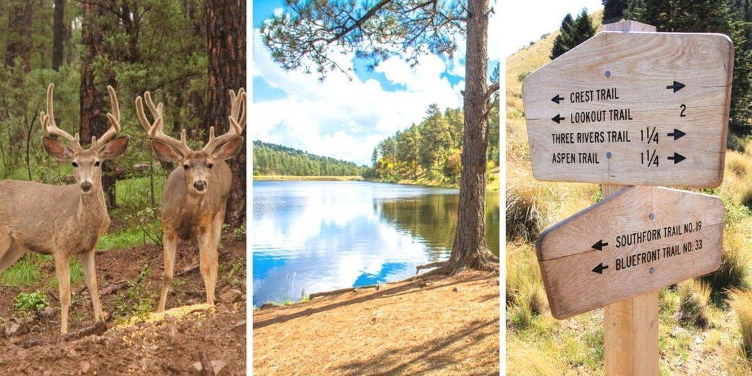 Photo of Outdoor in Ruidoso