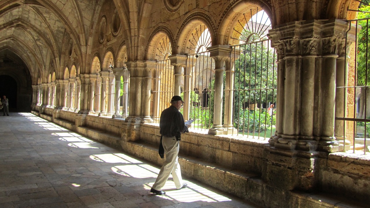 Photo of Others in Rocallaura
