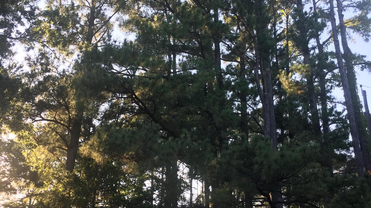 Photo of Outdoor in Gordonville
