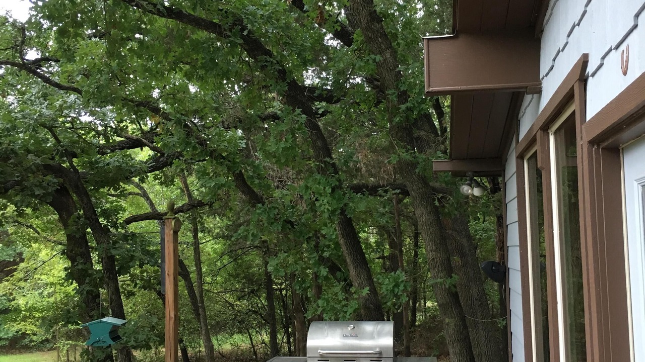 Photo of Outdoor in Gordonville
