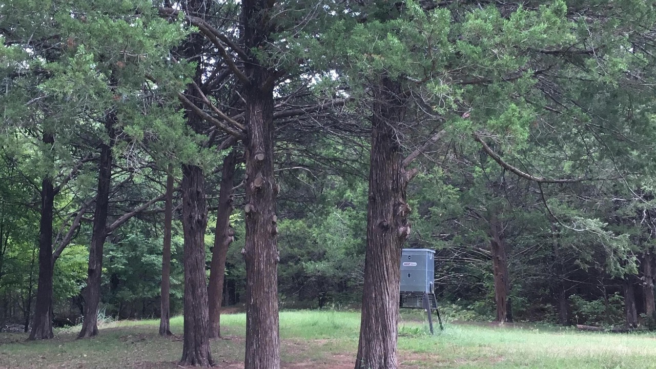 Photo of Outdoor in Gordonville