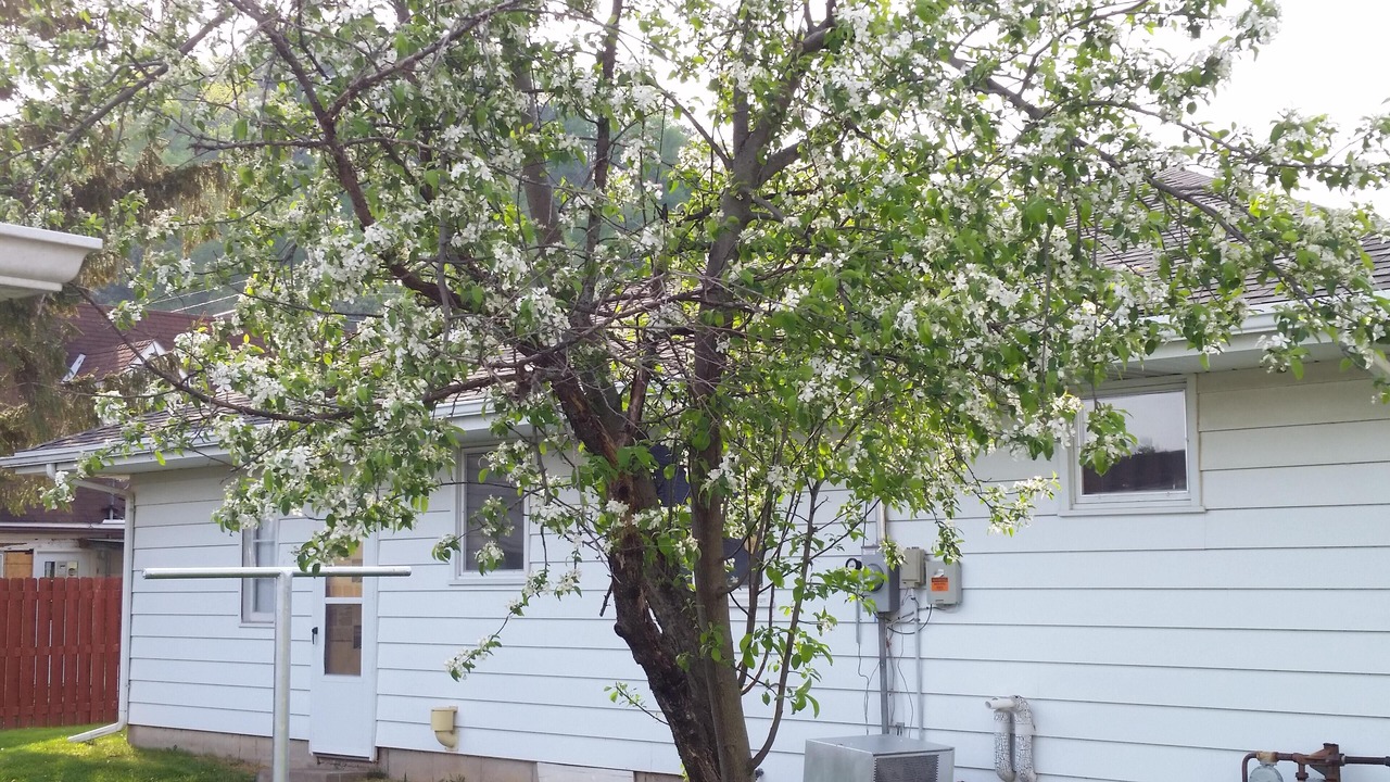 Photo of Outdoor in Bellevue