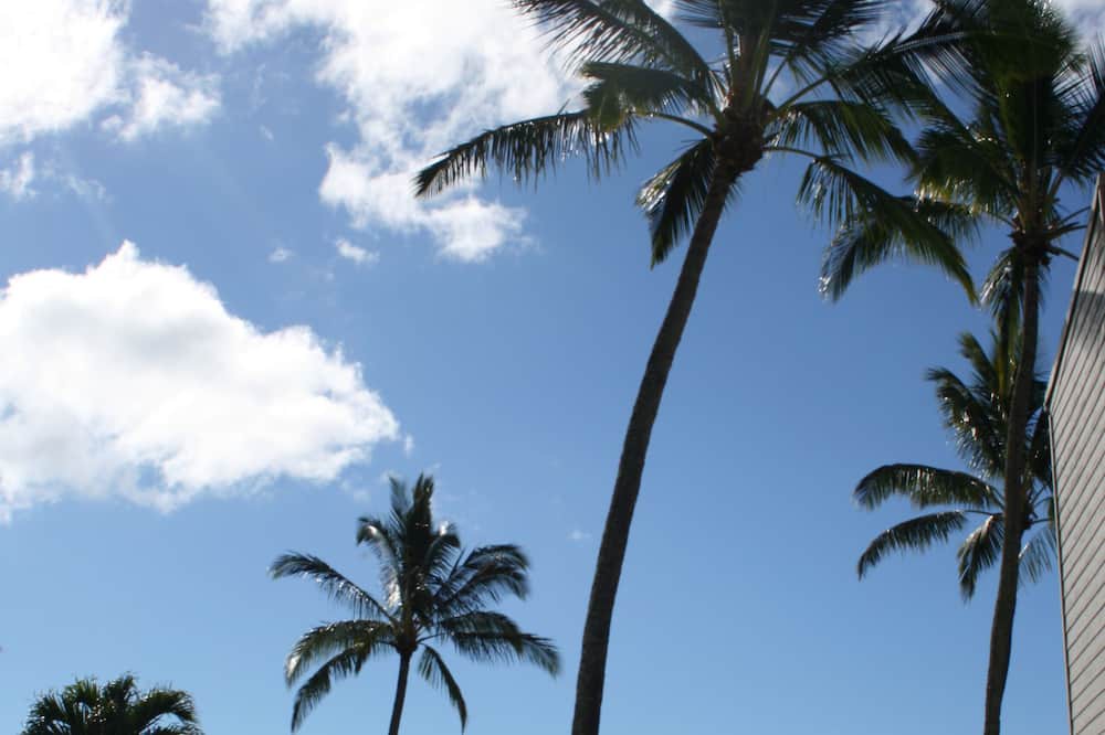 Photo of Others in Ualapue