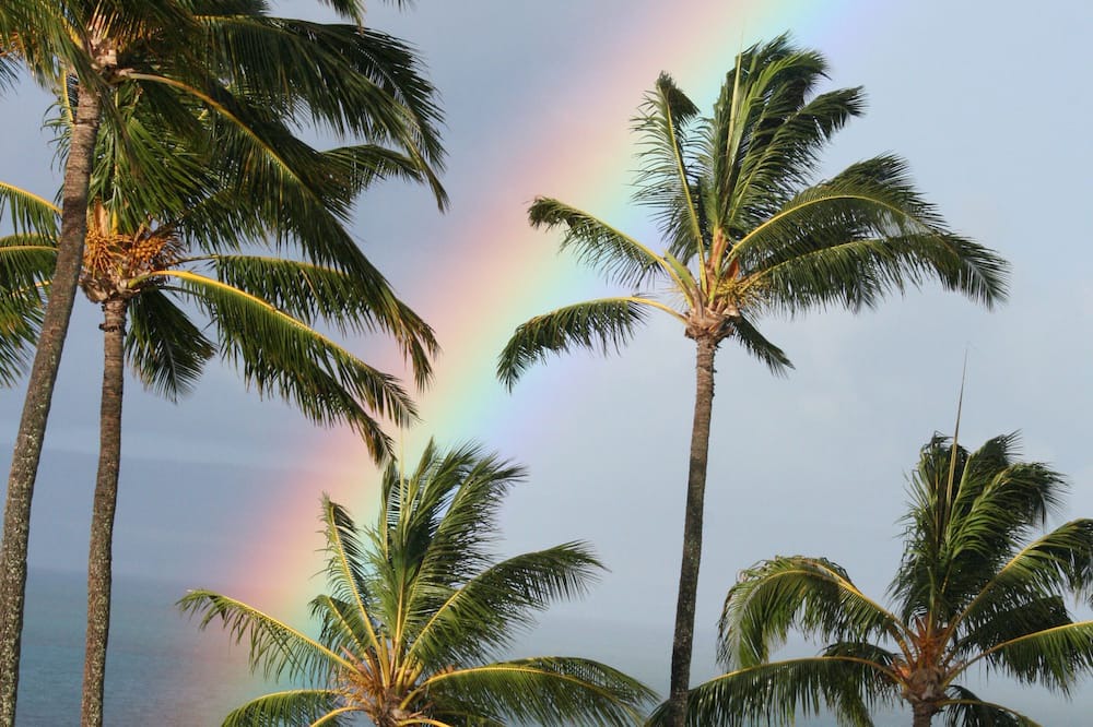 Photo of Others in Ualapue