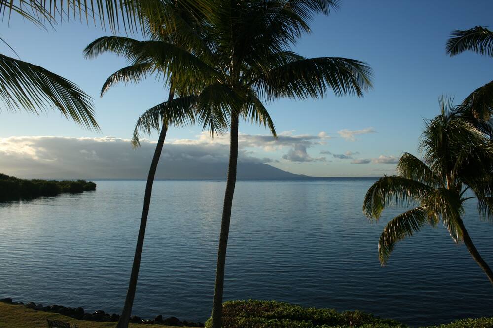 Photo of Others in Ualapue