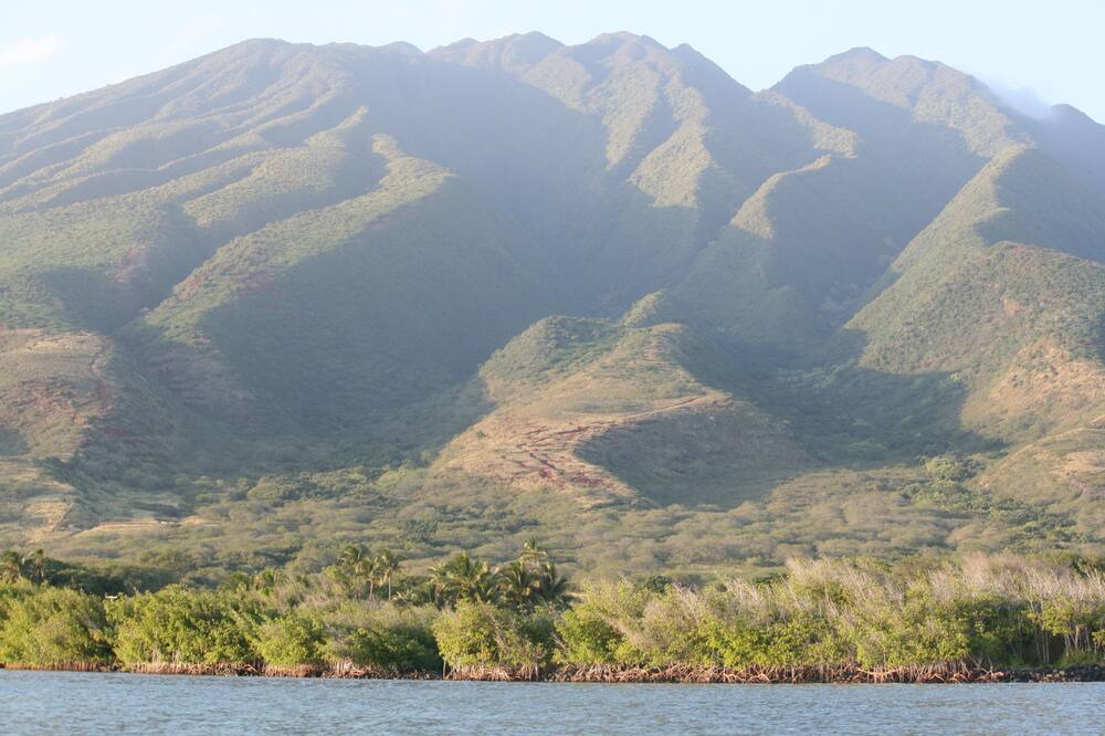 Photo of Others in Ualapue