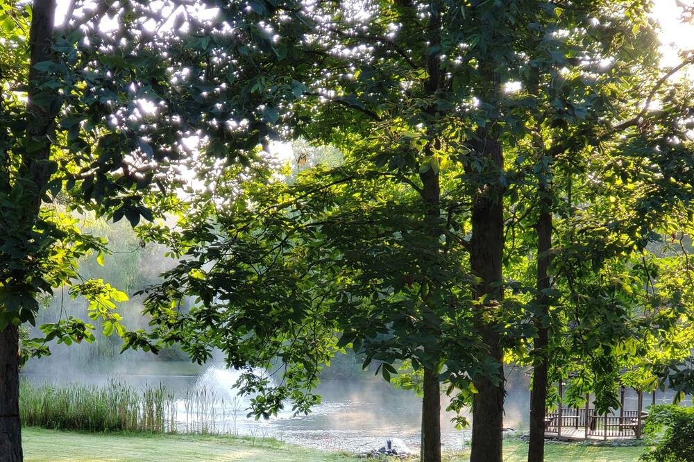 Photo of Outdoor in Oaks Corners