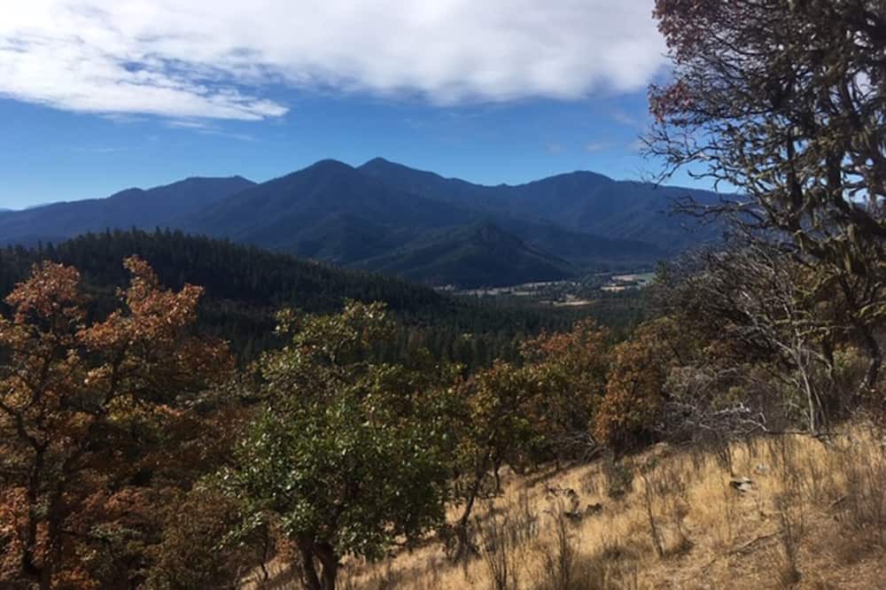 Photo of Others in Jacksonville