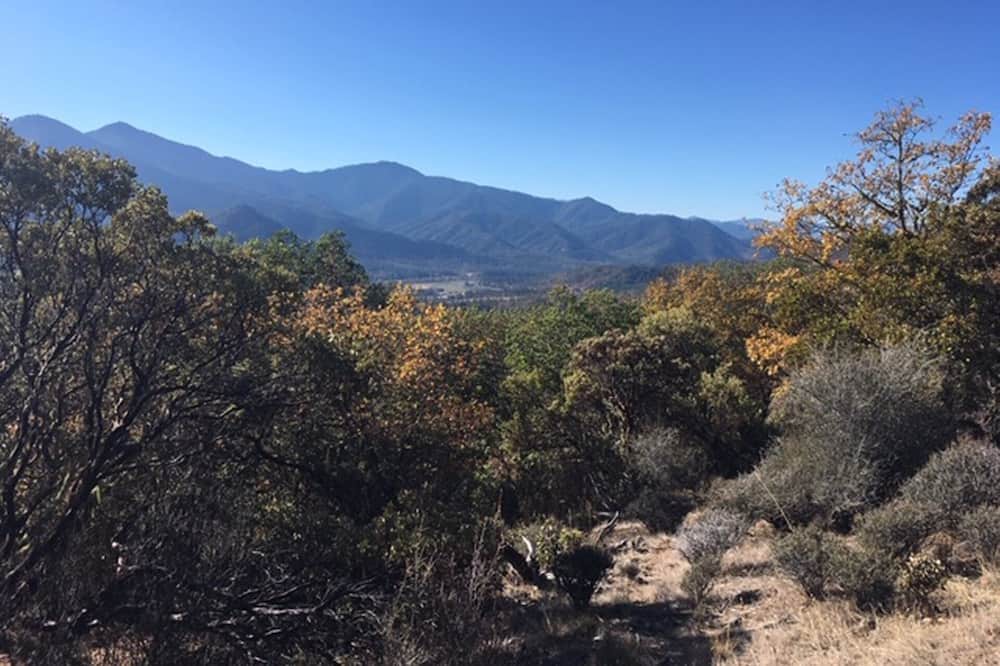 Photo of Others in Jacksonville