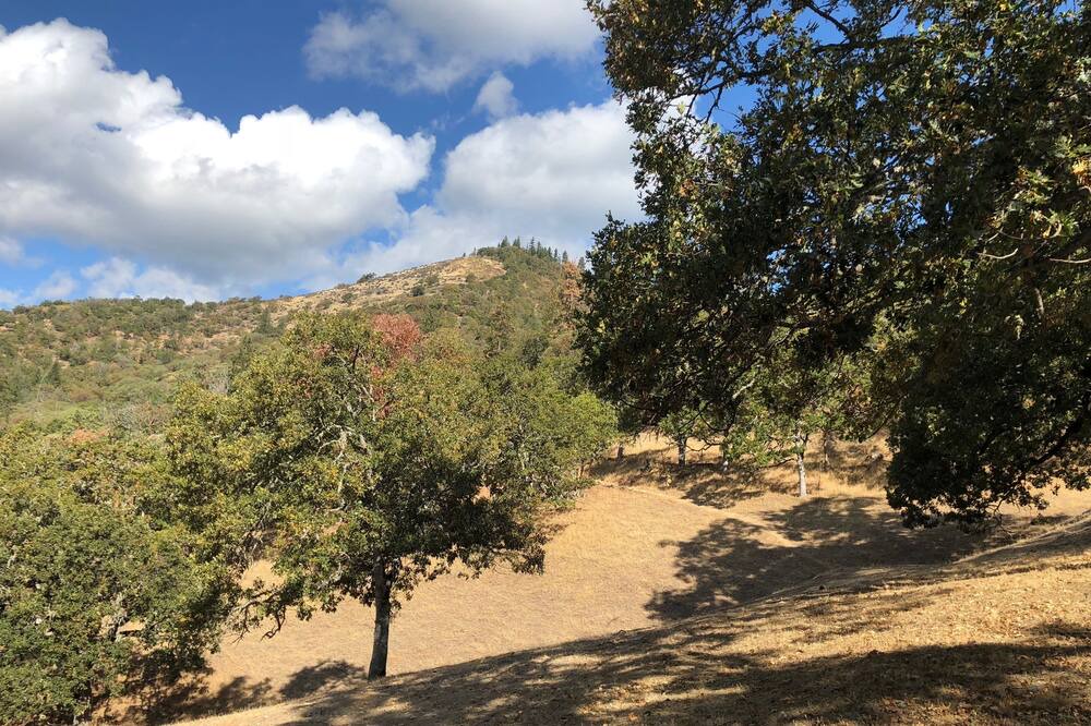 Photo of Outdoor in Jacksonville