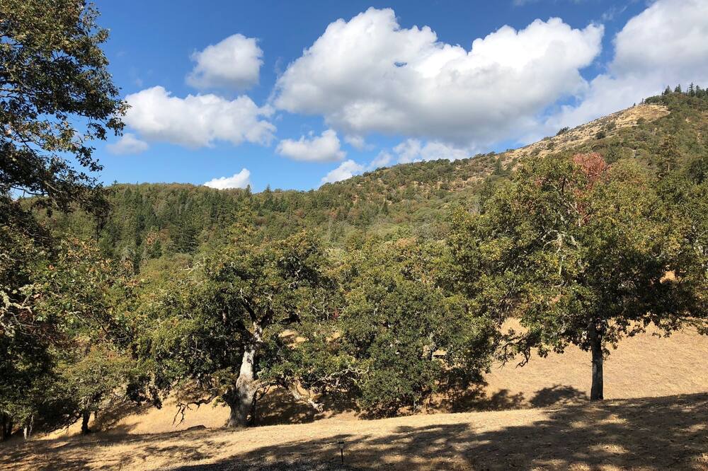 Photo of Outdoor in Jacksonville