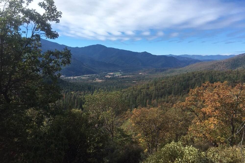 Photo of Others in Jacksonville