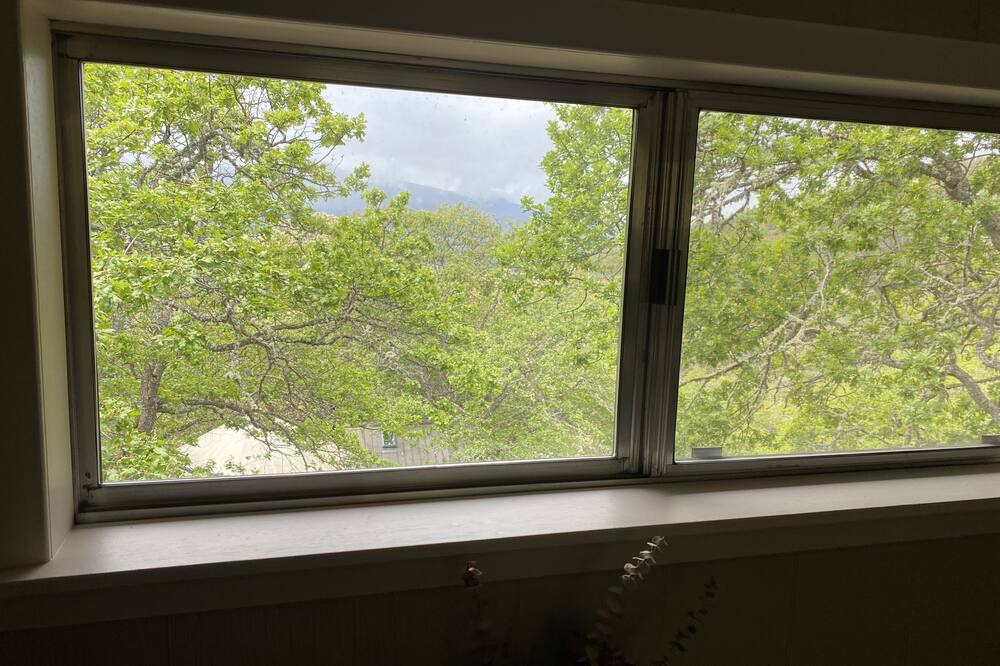 Photo of Bedroom in Jacksonville