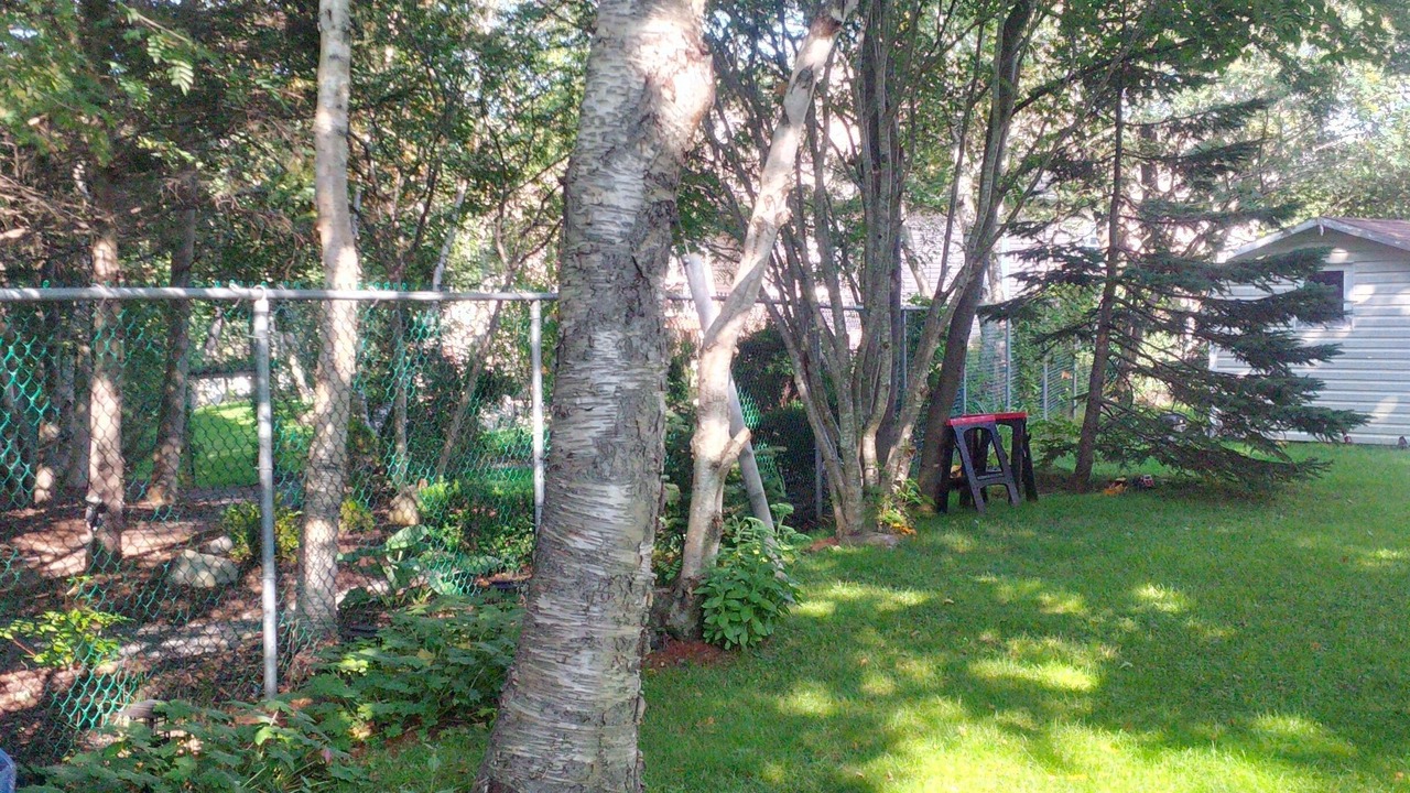 Photo of Outdoor in West End