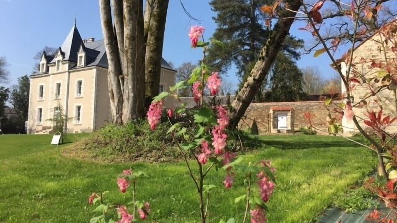 Photo of Outdoor in Mouchamps