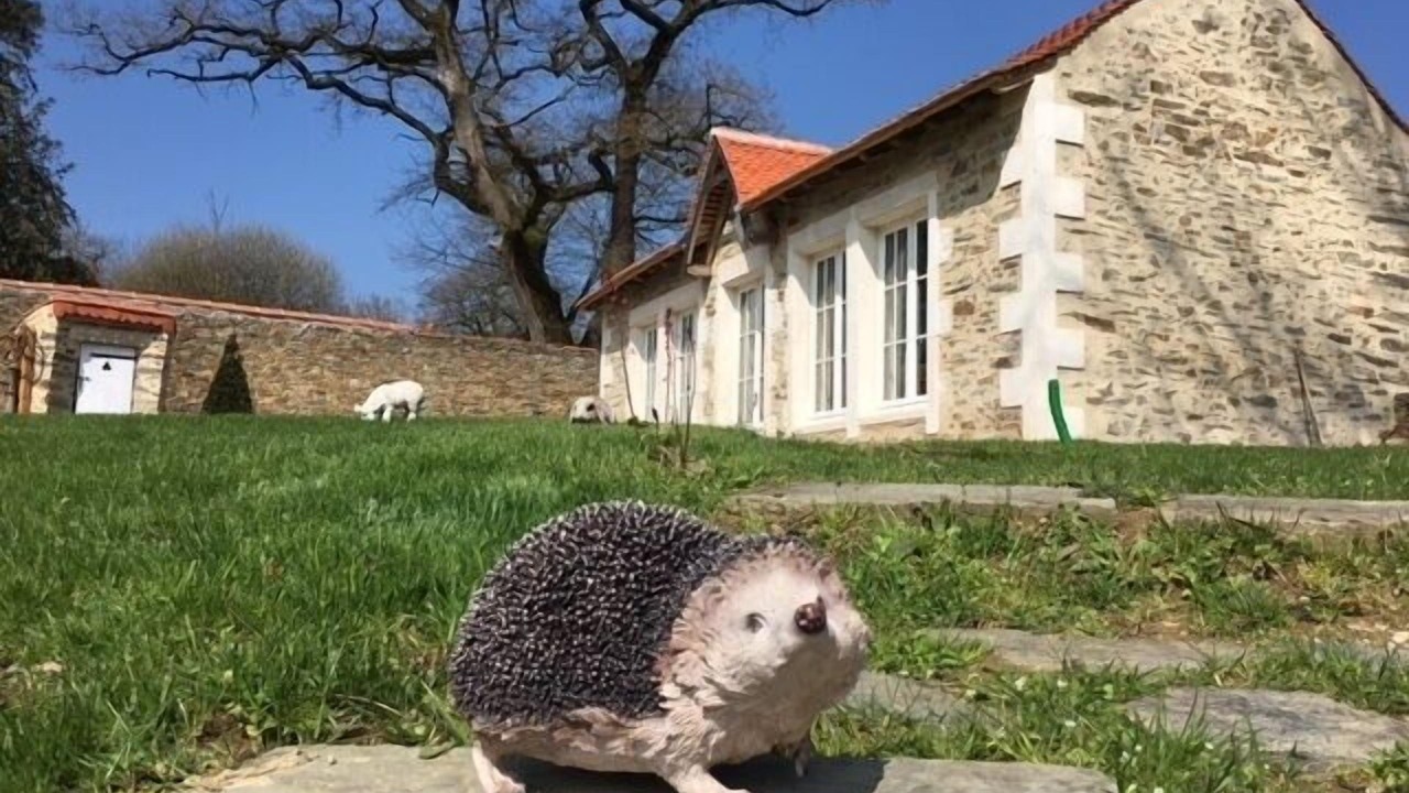 Photo of Outdoor in Mouchamps