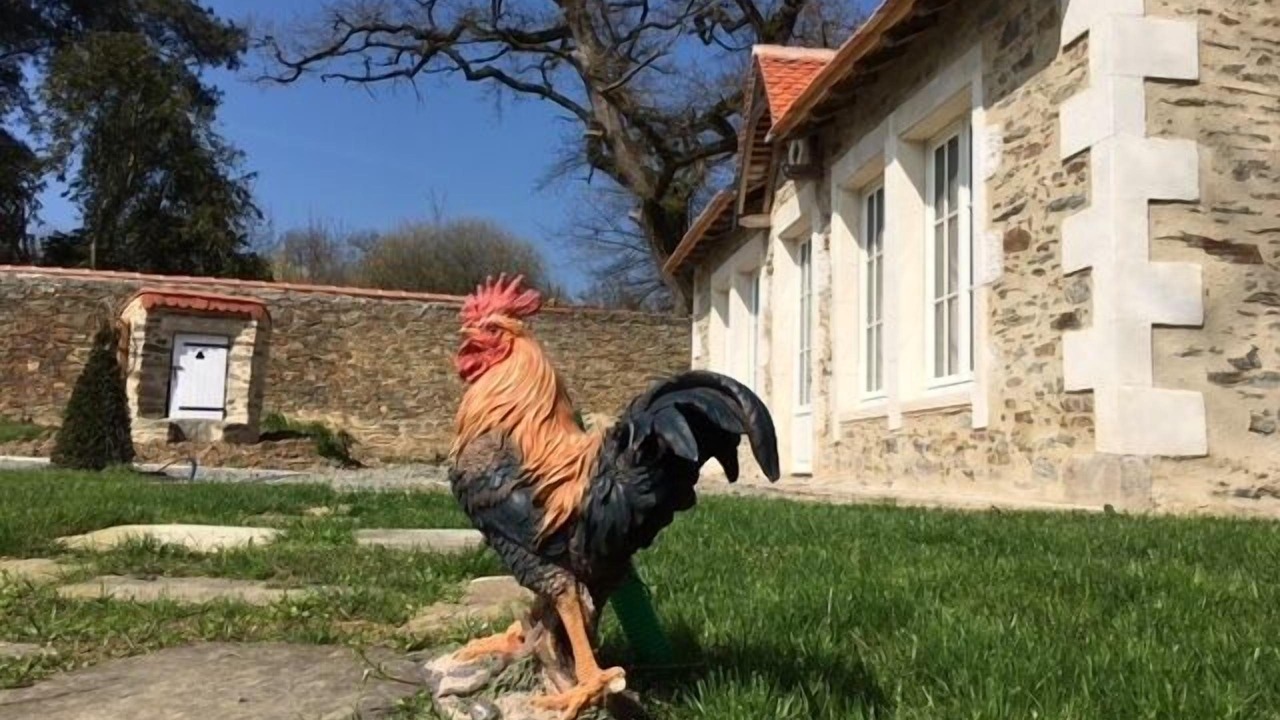 Photo of Outdoor in Mouchamps