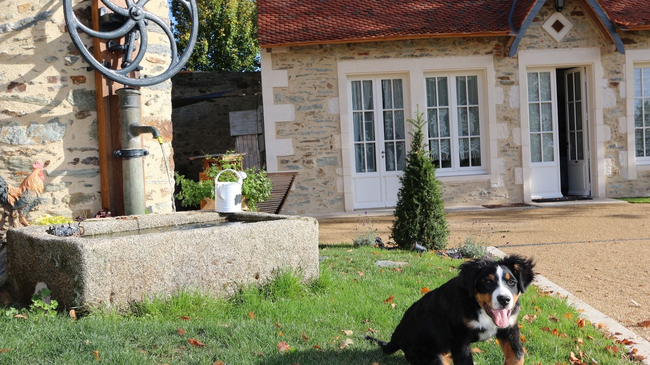 Photo of Outdoor in Mouchamps