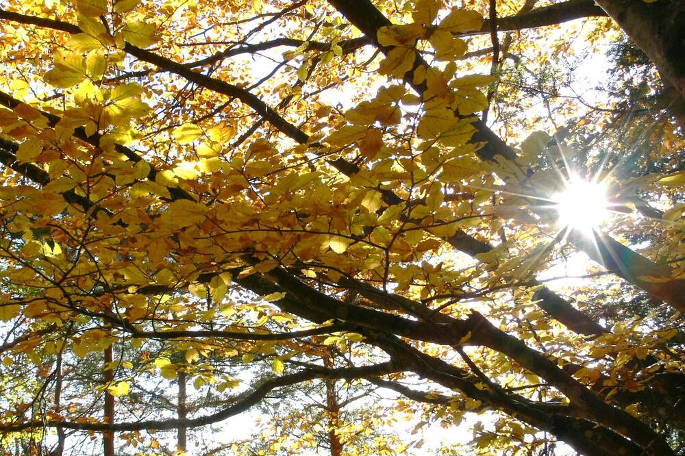 Photo of Outdoor in Saint-Paul-de-Jarrat