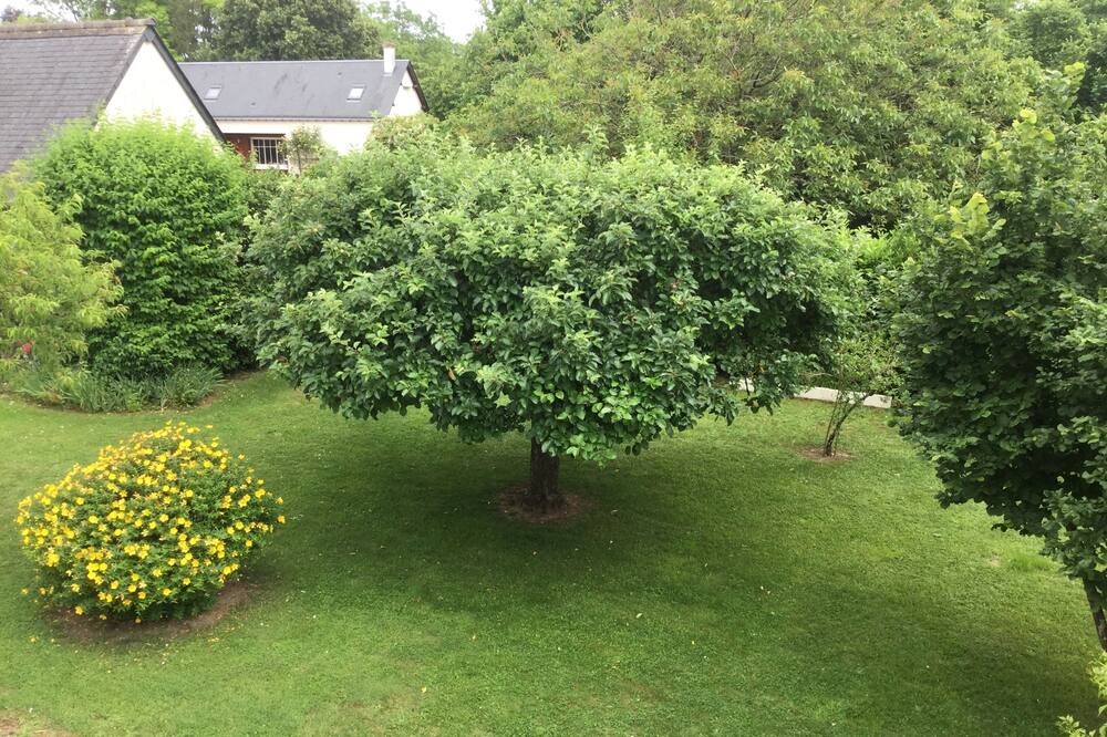 Photo of Outdoor in Saint-Avertin