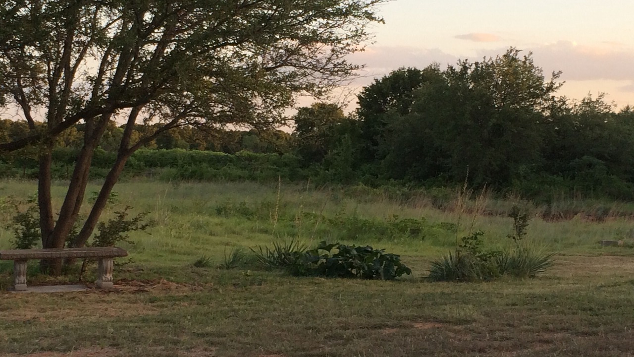 Photo of Outdoor in Poolville
