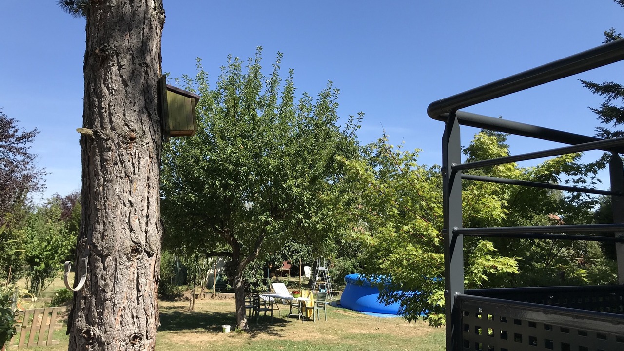 Photo of Outdoor in Scherwiller