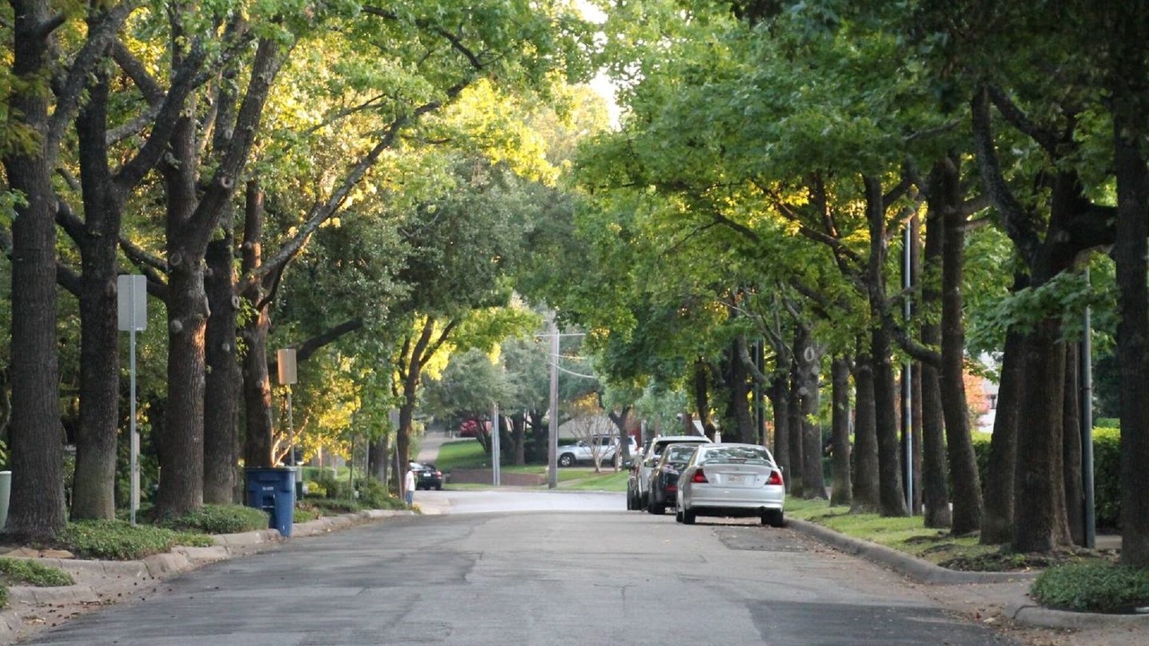 Photo of Others in Oak Lawn