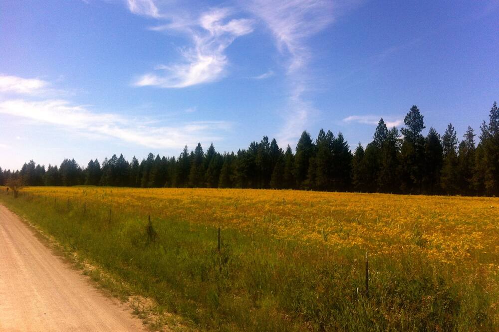 Photo of Outdoor in Athol