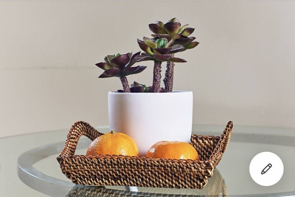 Photo of Kitchen in Picnic Valley