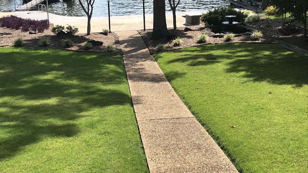 Photo of Outdoor in Piney