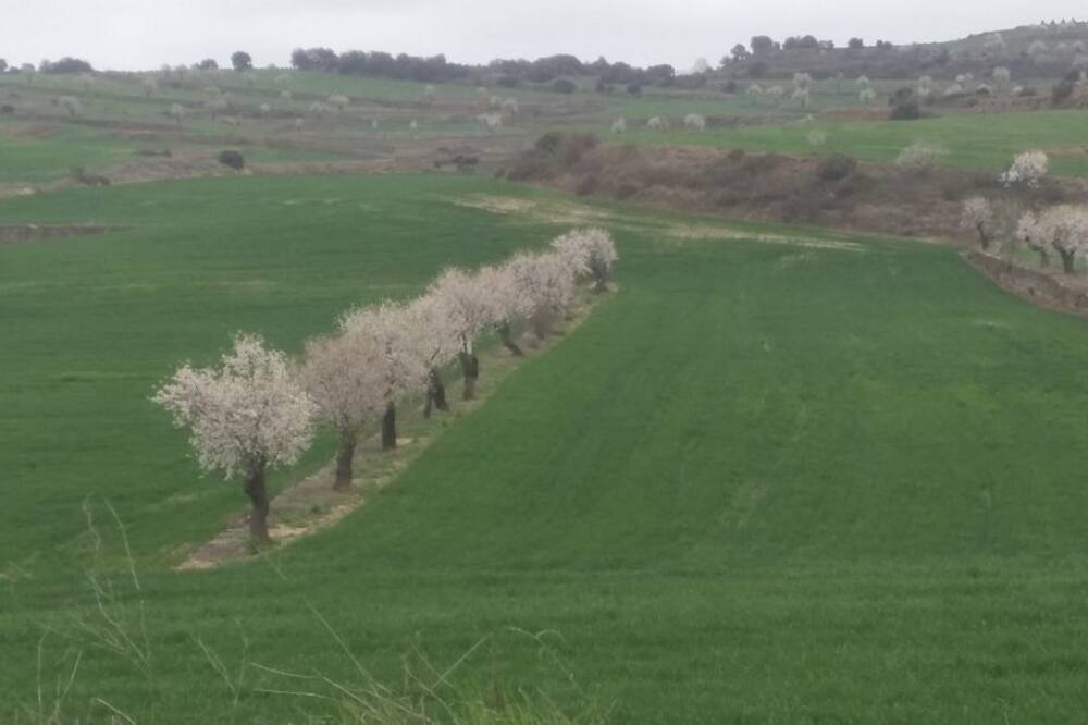 Photo of Outdoor in Granollers de Florejacs