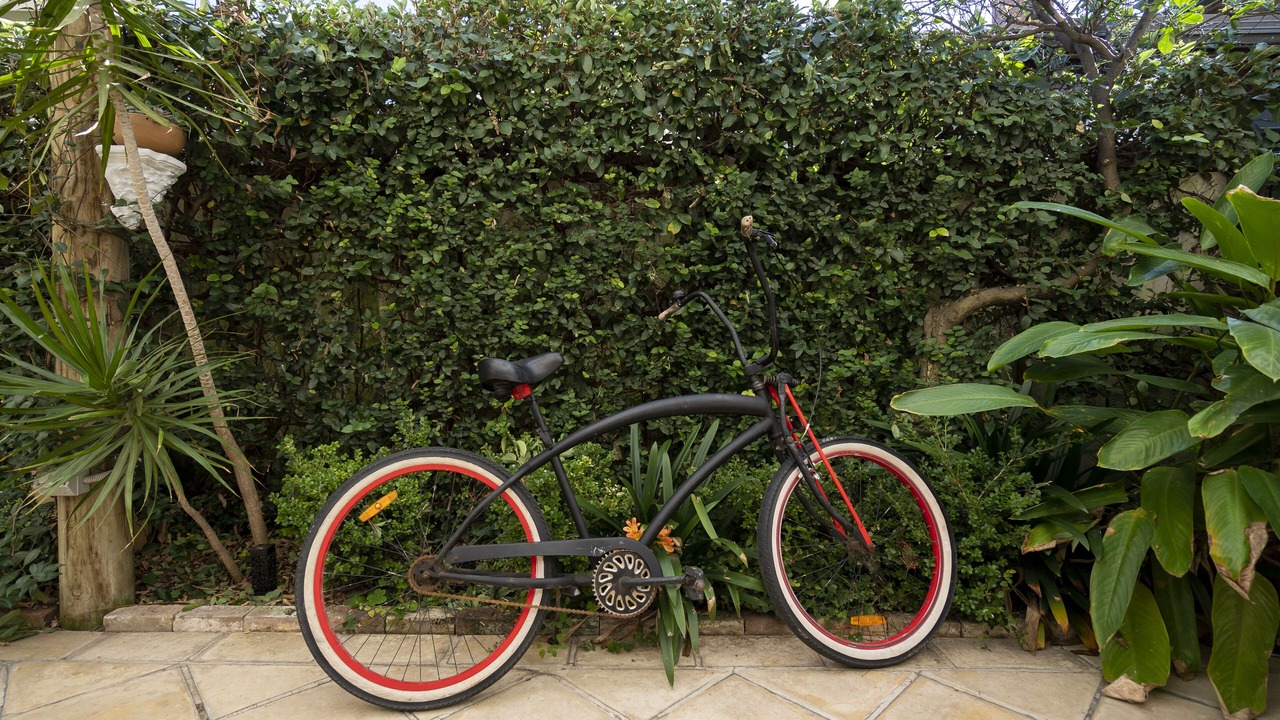 Photo of Outdoor in Manly