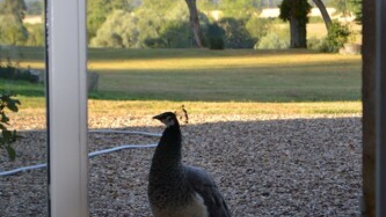 Photo of Others in Saint-Jean-aux-Amognes