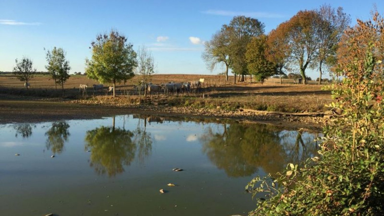 Photo of Outdoor in Saint-Jean-aux-Amognes