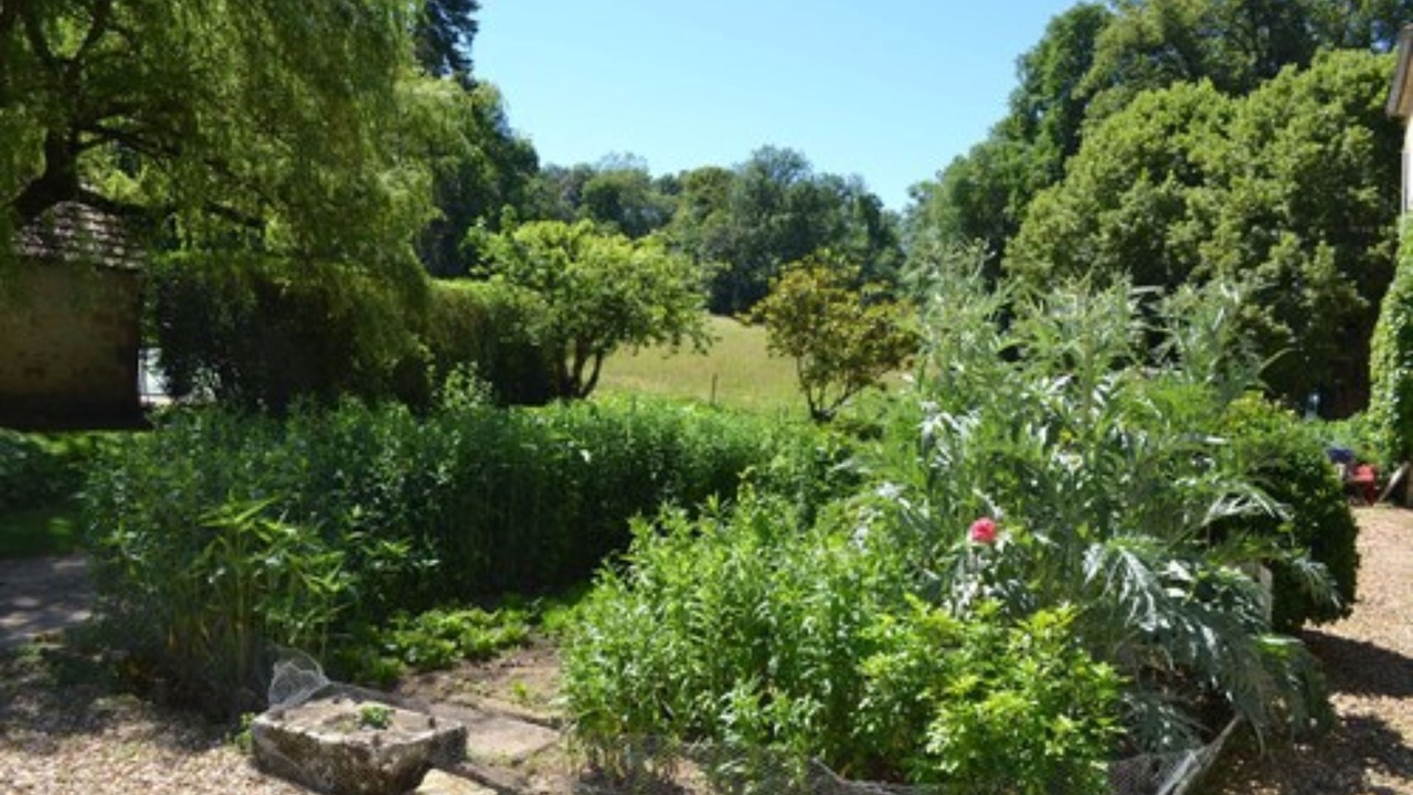 Photo of Outdoor in Saint-Jean-aux-Amognes