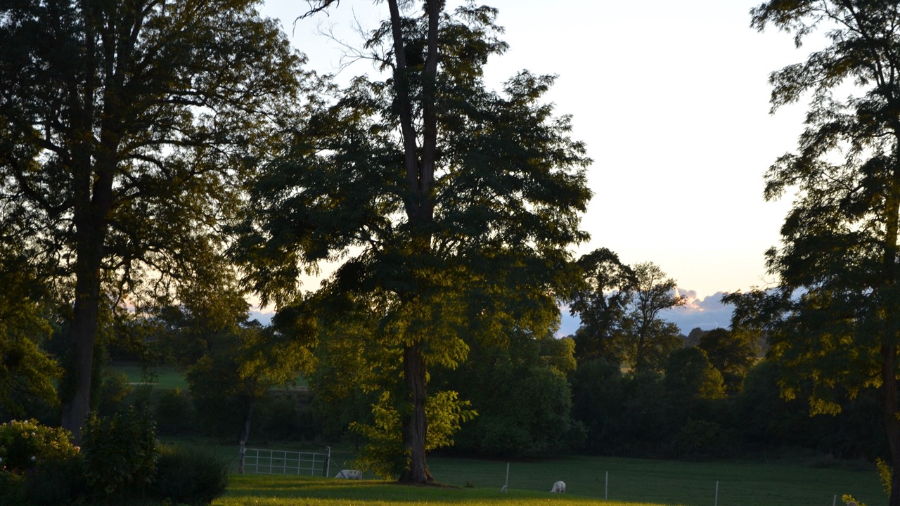 Photo of Outdoor in Saint-Jean-aux-Amognes